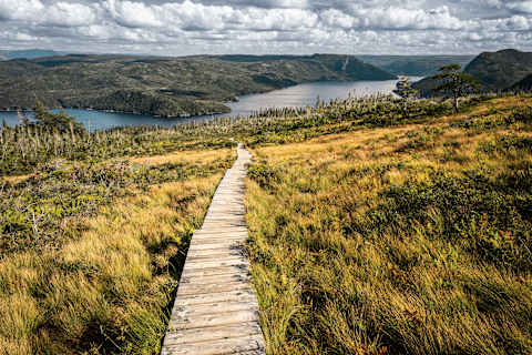Canadian Maritimes & Newfoundland Expedition Cruise photo 3