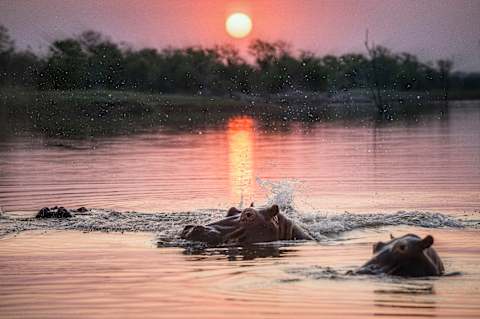 Northern Zimbabwe: Remote Safaris & Epic Sunsets photo 4