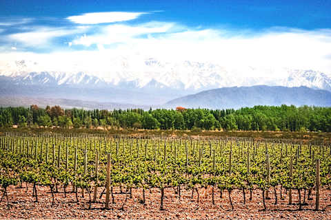 Chilean Valleys & Malbecs of Mendoza photo 1