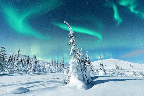Helsinki & the Northern Arctic photo 1