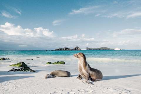 Galapagos Island Escape: Santa Cruz & San Cristobal photo 1