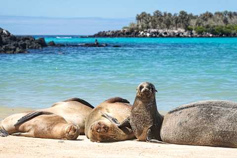 Galápagos Up Close: An Intimate Catamaran Adventure photo 3