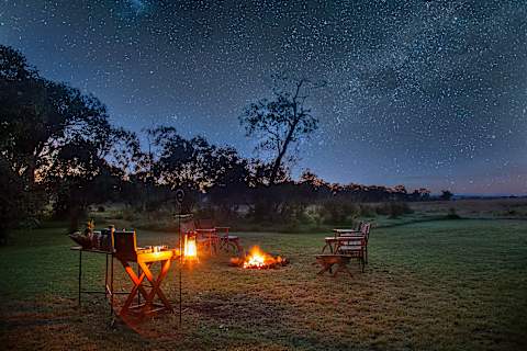 Ultimate Kenya Safari: Rare Species & Starry Nights photo 3