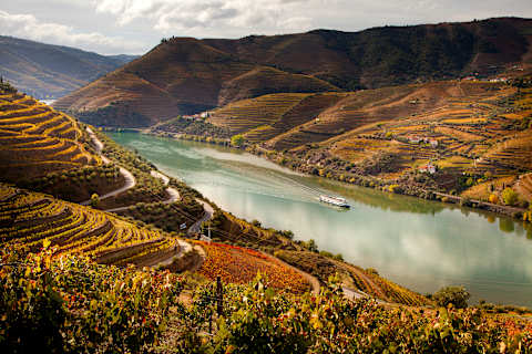 Portugal Cultural Journey & Douro River Cruise  photo 1