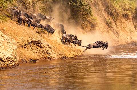 Tanzania’s Great Migration Safari photo 1