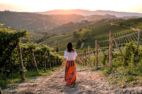 The Flavors of Tuscany photo 1