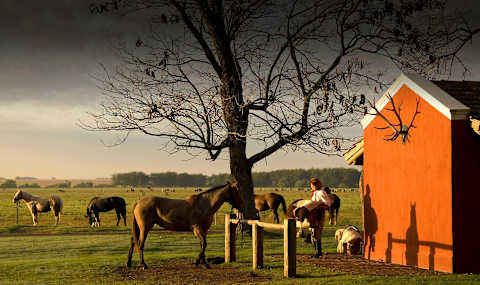 Gauchos, Glaciers & Fjords of Fire photo 3
