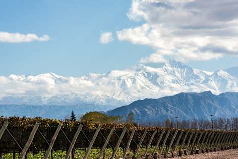 Argentina: Active Andes photo 3