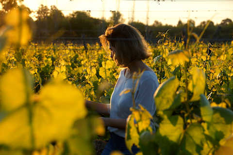 Chilean Valleys & Malbecs of Mendoza photo 3