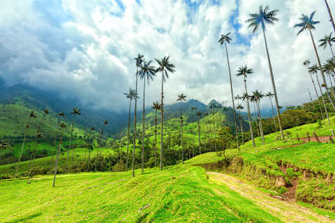 Enchanted Colombia photo 4