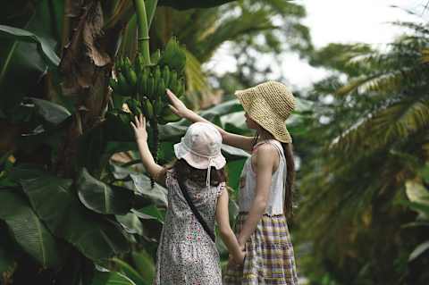 Costa Rica Family Adventure photo 3