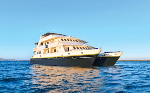 Galápagos Up Close: An Intimate Catamaran Adventure photo 4