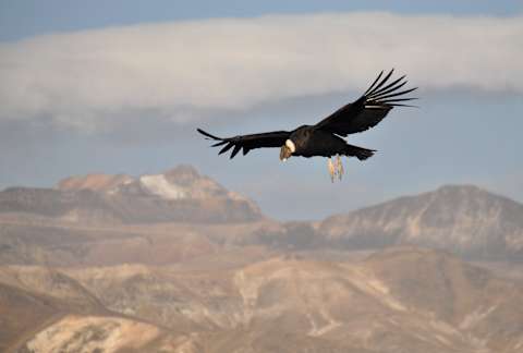 Peru's Andean Canyons & Remote Tented Camps photo 3