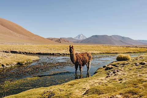 Peru's Andean Canyons & Remote Tented Camps photo 2
