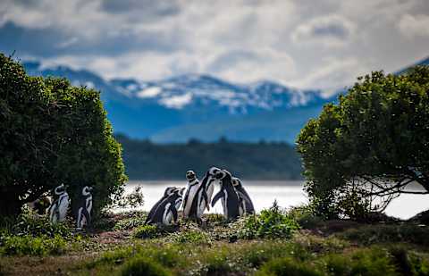 Gauchos, Glaciers & Fjords of Fire photo 2