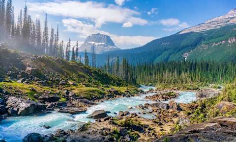 Essential Banff & Lake Louise Explorer photo 4