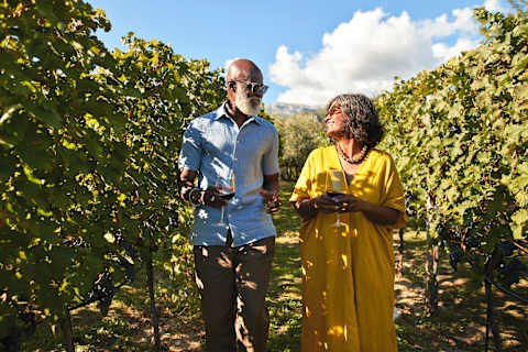 Eiffel Tower to Estate Wines: Burgundy & Bordeaux photo 4