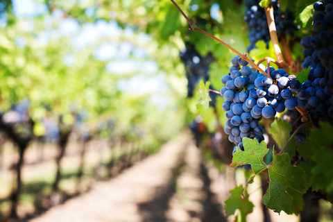 Northern Argentina: Wineries, Waterfalls & Winding Roads photo 2