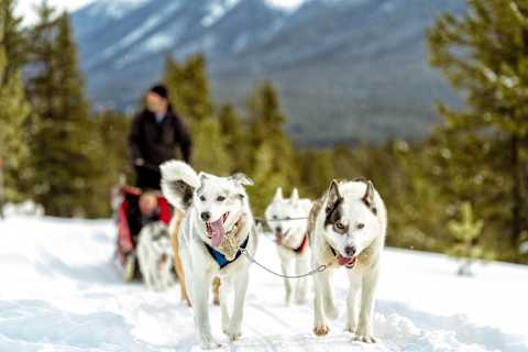Banff Winter Magic & Icy Lake Louise photo 3
