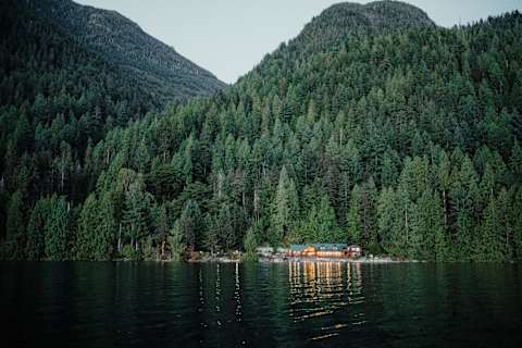 Rainforest to Sea: Klahoose Nation & British Columbia Grizzlies photo 2