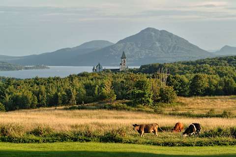 Ontario to Quebec: Food, Falls & Heritage photo 1