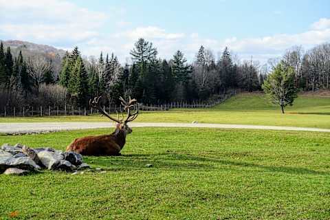Active Eastern Canada: Family Road Trip photo 3