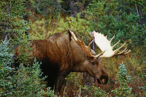 Explore Newfoundland: Gros Morne & Beyond photo 4