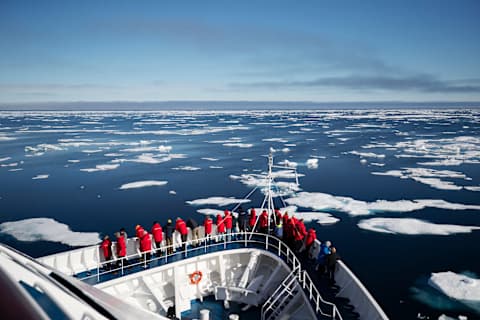 Canadian Arctic Expedition: Icebergs & Wildlife photo 2