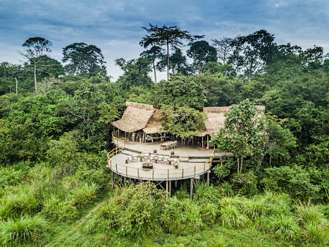 Congo: Africa's Rainforest Frontier photo 3