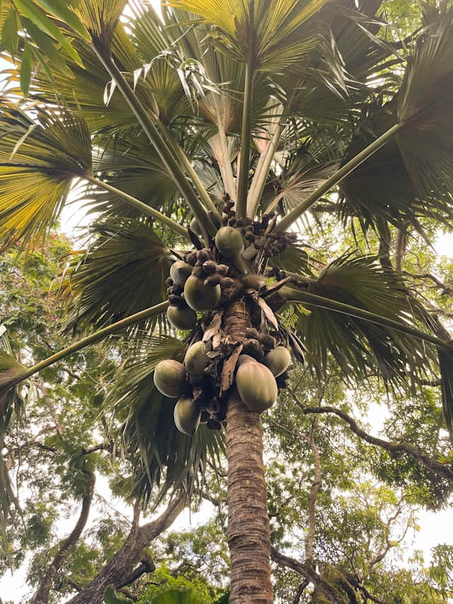 Kenya Safari & Seychelles Island Paradise photo 2