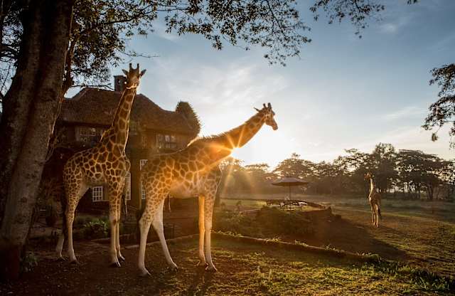 Exclusive Kenya by Private Air  photo 2