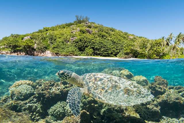 Seychelles Island Getaway photo 4