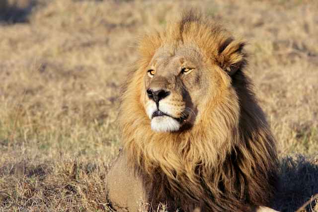 Off-the-Beaten-Path Tanzania & Mafia Island photo 1