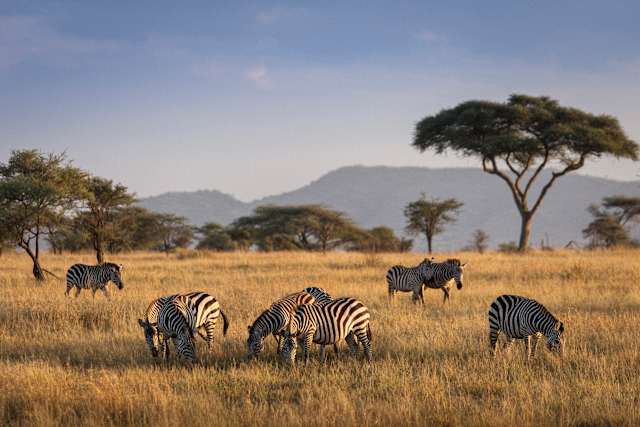 Uncharted Tanzania: North to South Safari photo 1