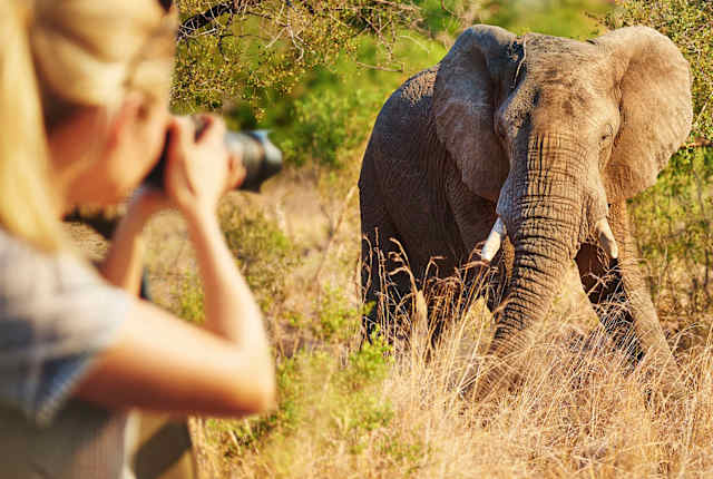 Big 5 of Land & Sea photo 4
