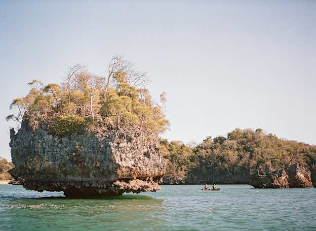 Madagascar's Anjajavy Reserve & Rainforest Wildlife photo 1