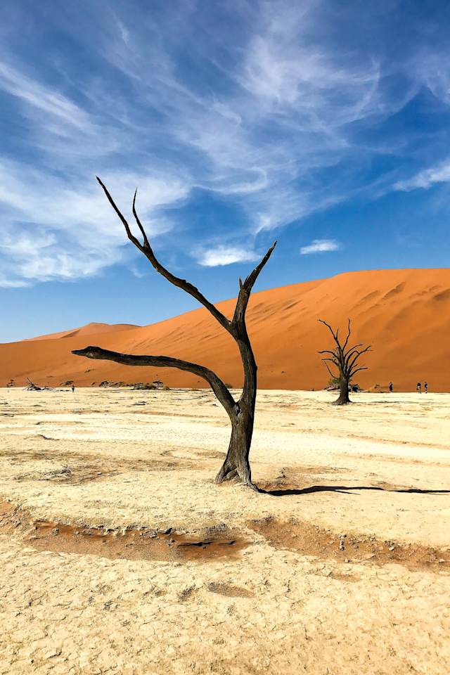 Best of Namibia photo 2