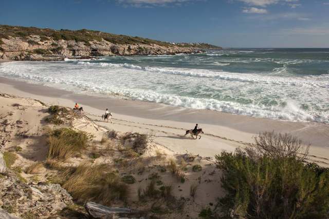 Big 5 of Land & Sea photo 3