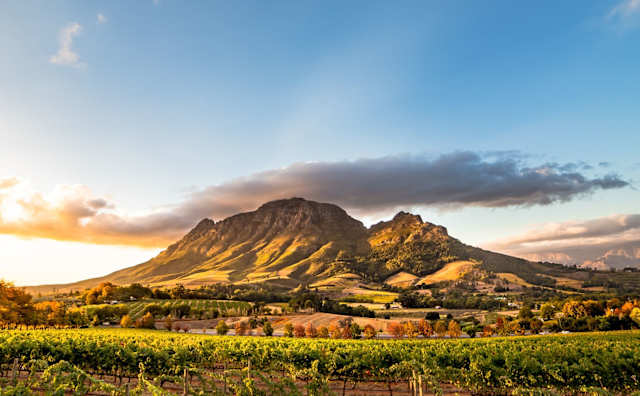 South Africa Culture & Cuisine photo 4