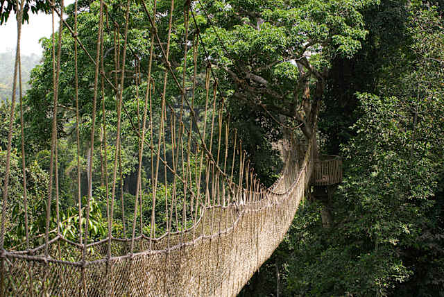 Essential Ghana photo 1
