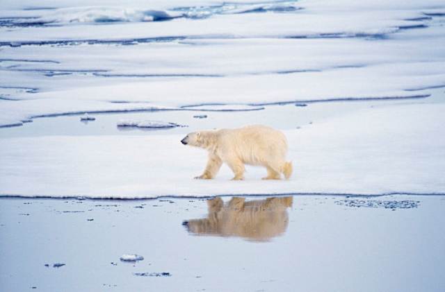 Spitsbergen Expedition Cruise & Baltic Highlights photo 2