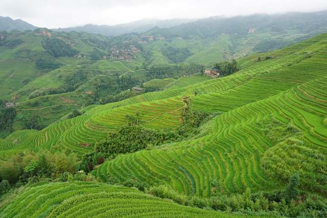 National Geographic Award Winning China Signature photo 1