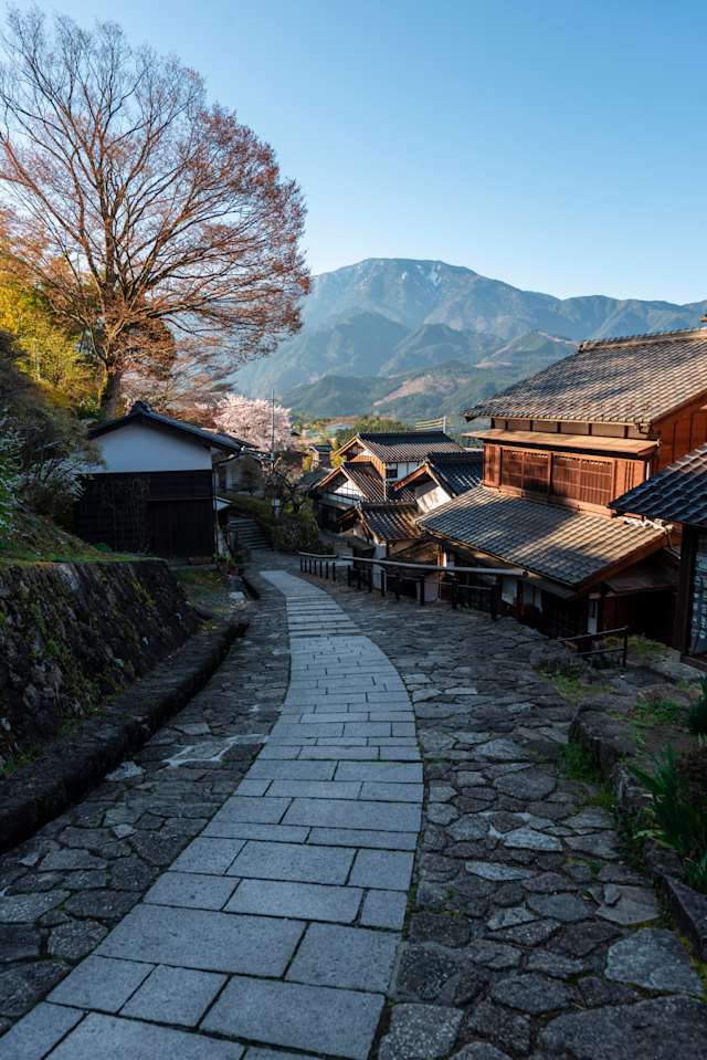 Japan Heritage Tour: Ancestry & Tradition photo 2