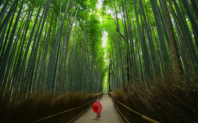 Best of Japan: Tokyo, Kyoto & Osaka photo 2