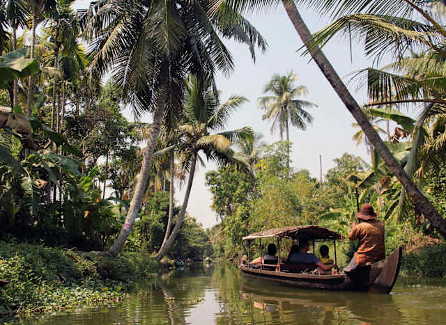 South India Teas, Spices & Kerala Backwaters photo 3