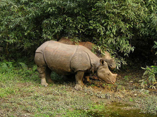 Nepal & Bhutan Explorer photo 1