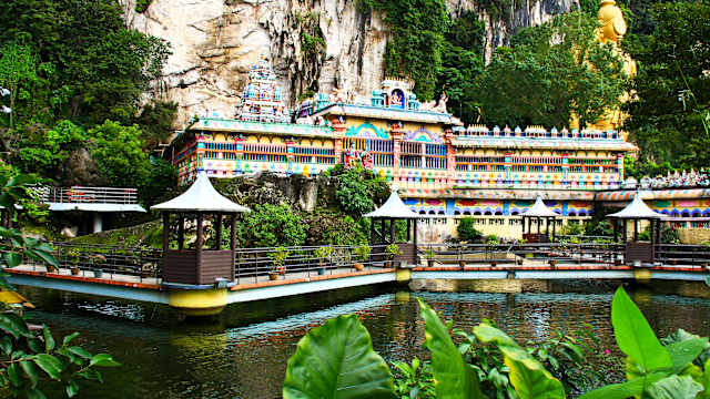 Wildlife Wonders of Malaysia photo 3