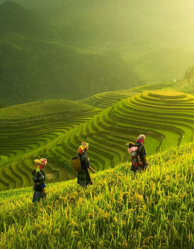 Vietnam, Cambodia & Thailand Signature photo 3