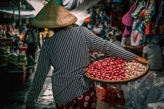 Northern Vietnam Unveiled photo 2