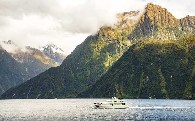 New Zealand Signature photo 1